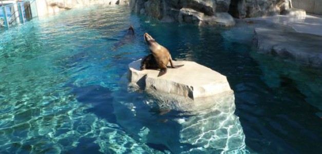 いしかわ動物園から いしかわ動物園から